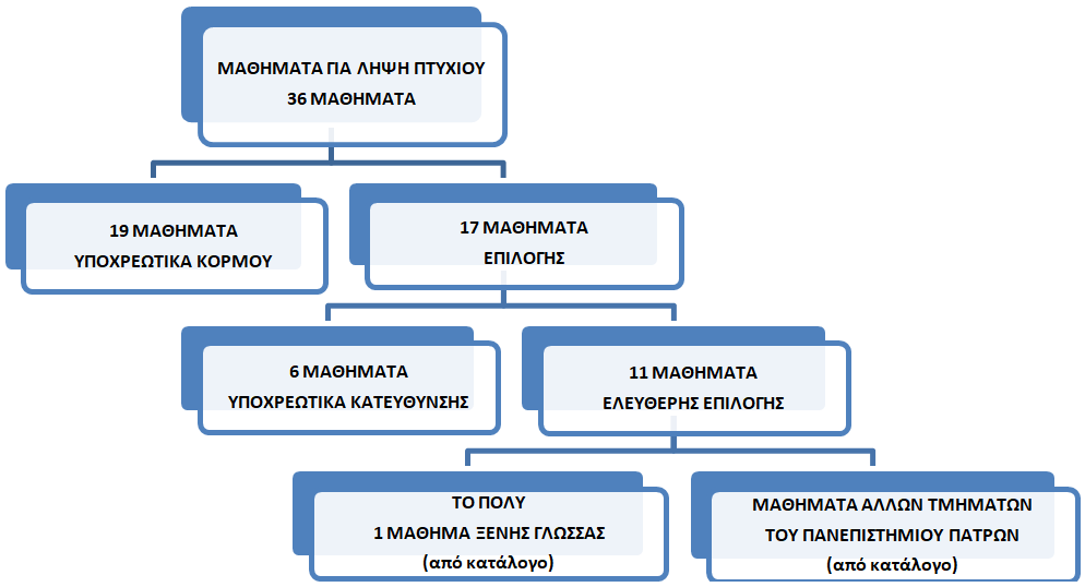 undergraduate info